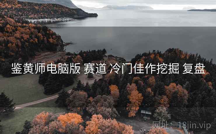 鉴黄师电脑版 赛道 冷门佳作挖掘 复盘  第2张