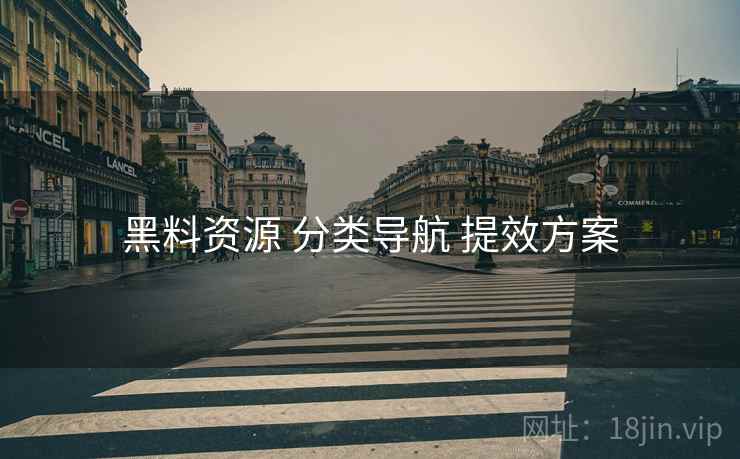 黑料资源 分类导航 提效方案