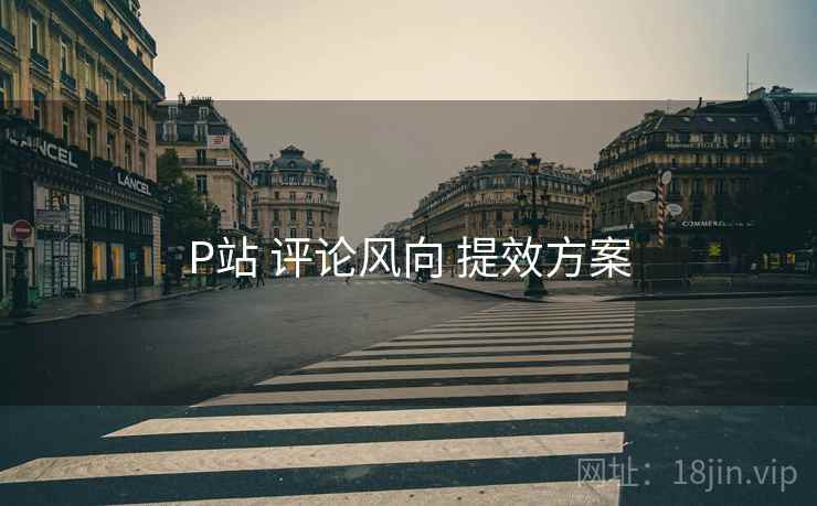 P站 评论风向 提效方案