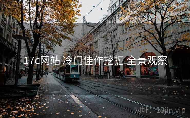 17c网站 冷门佳作挖掘 全景观察