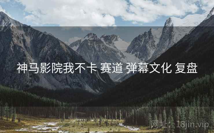 神马影院我不卡 赛道 弹幕文化 复盘  第2张