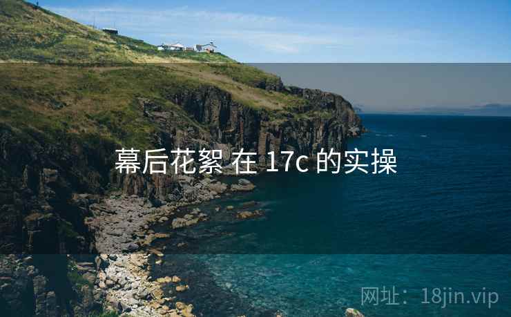 幕后花絮 在 17c 的实操