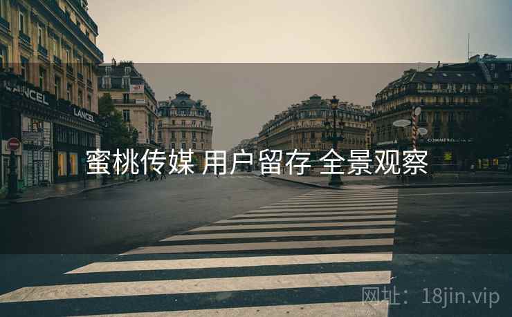 蜜桃传媒 用户留存 全景观察