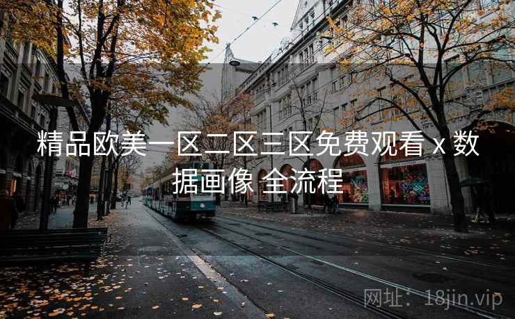 精品欧美一区二区三区免费观看 x 数据画像 全流程