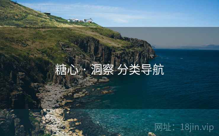 糖心 · 洞察 分类导航