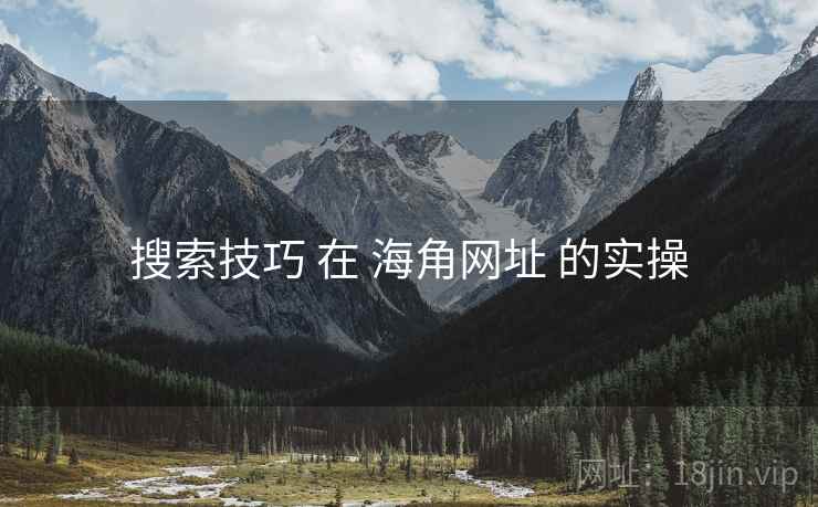 搜索技巧 在 海角网址 的实操