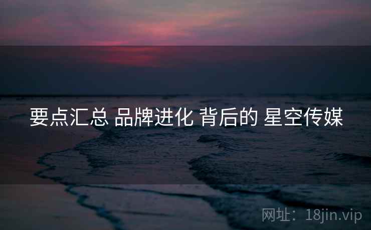 要点汇总 品牌进化 背后的 星空传媒