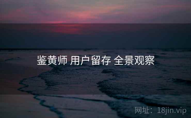 鉴黄师 用户留存 全景观察