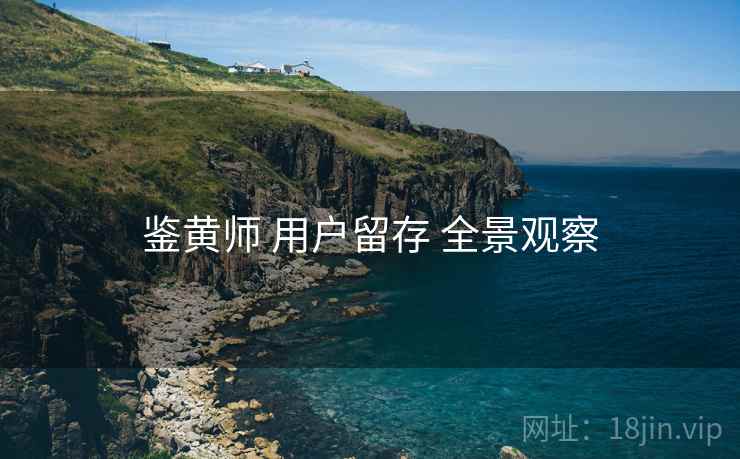 鉴黄师 用户留存 全景观察
