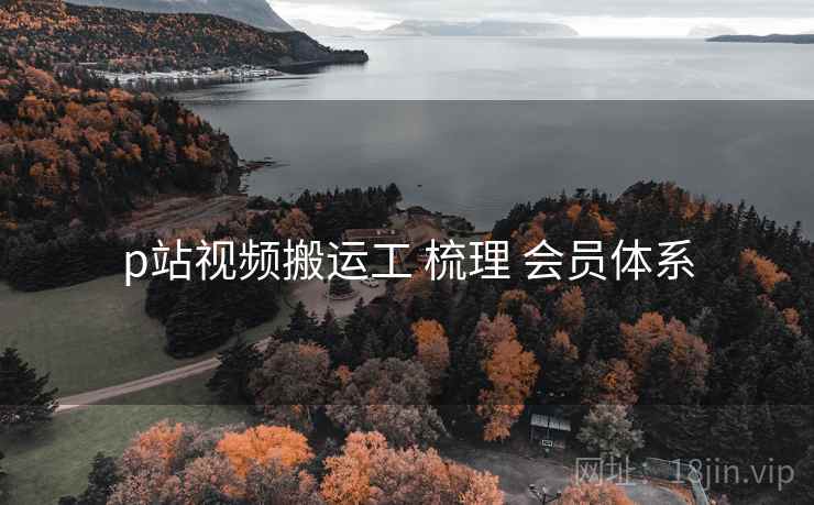 p站视频搬运工 梳理 会员体系