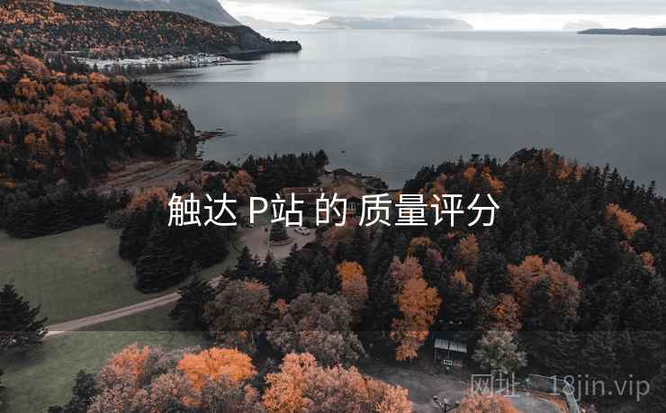 触达 P站 的 质量评分