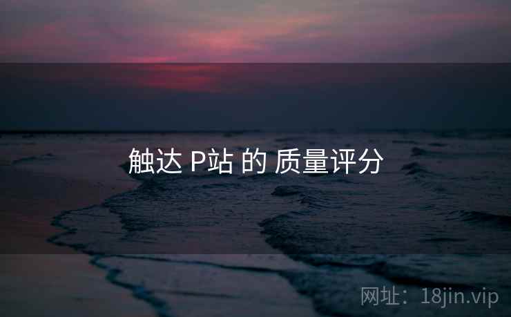 触达 P站 的 质量评分