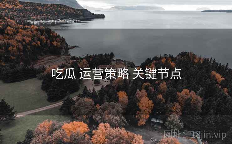 吃瓜 运营策略 关键节点
