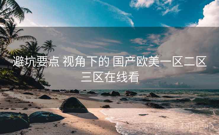 避坑要点 视角下的 国产欧美一区二区三区在线看