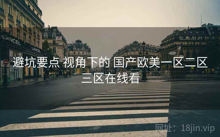 避坑要点 视角下的 国产欧美一区二区三区在线看