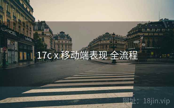 17c x 移动端表现 全流程