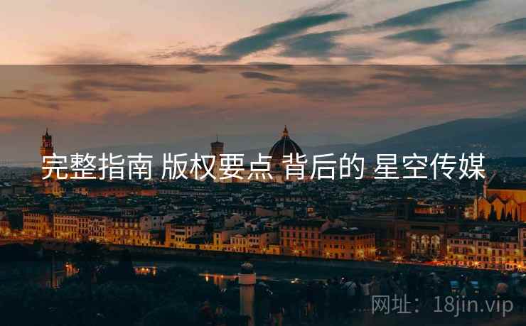 完整指南 版权要点 背后的 星空传媒